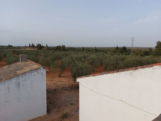 Finca/Herregård til salgs i Almonte med garasje - € 325 000 (Ref: 8603301)