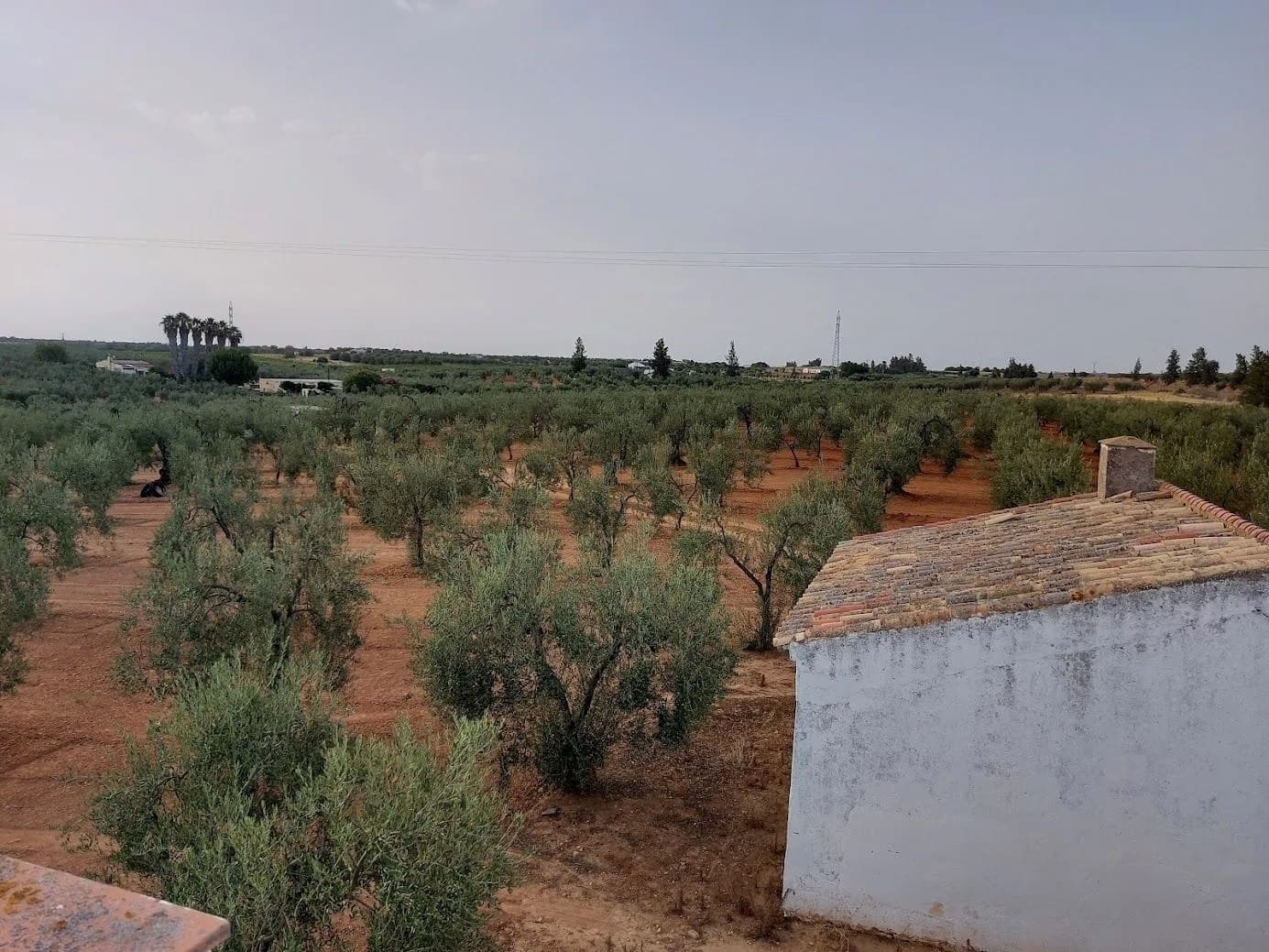 Finca/Landhuis te koop in Almonte met garage - € 325.000 (Ref: 8603301)