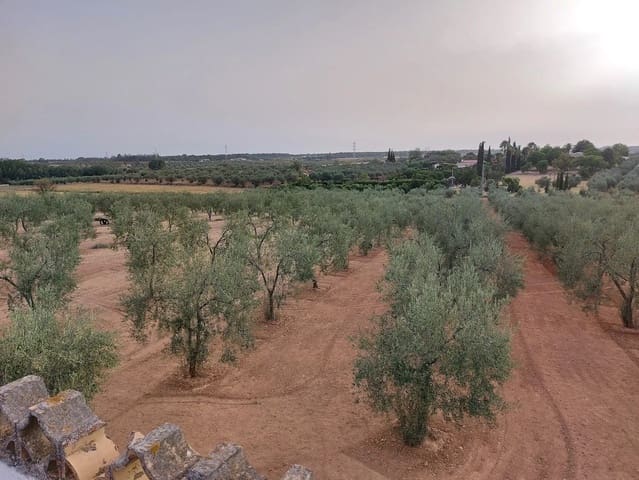 Finca/Herregård til salgs i Almonte med garasje - € 325 000 (Ref: 8603301)