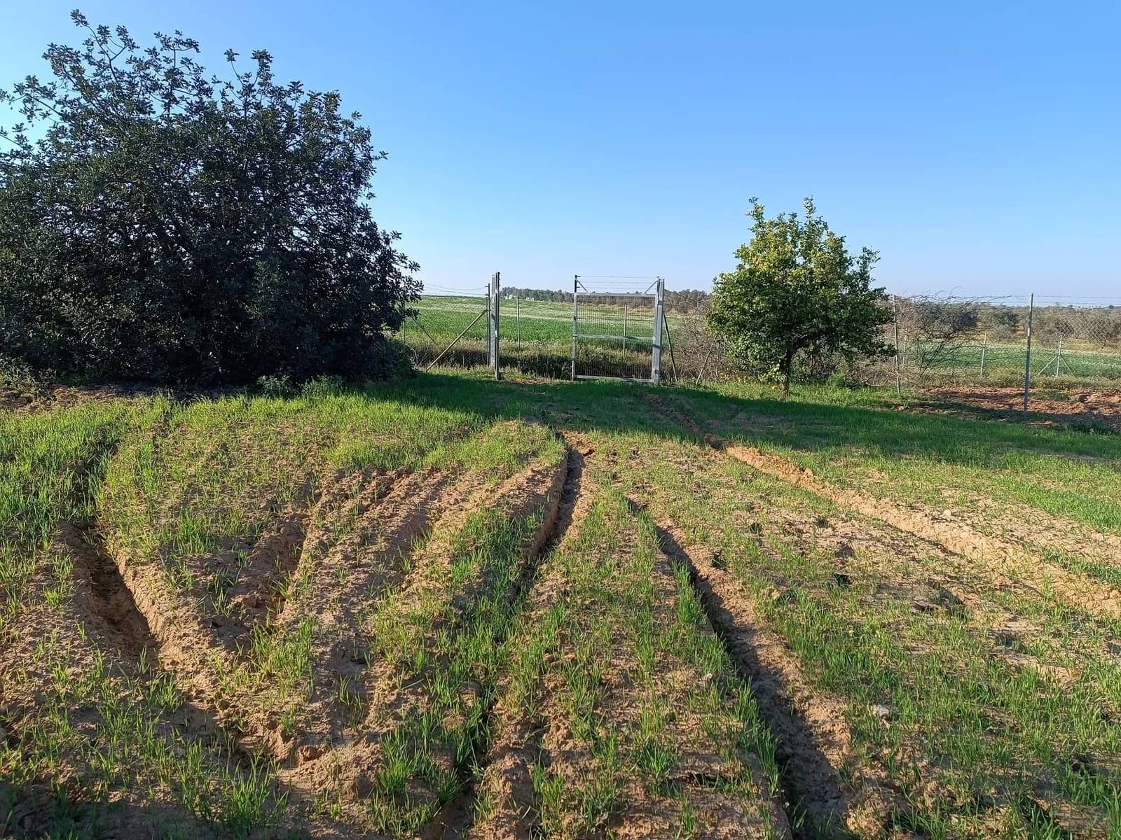 3 soveværelse Finca/Landehus til salg i Rociana del Condado med garage - € 40.000 (Ref: 8603407)