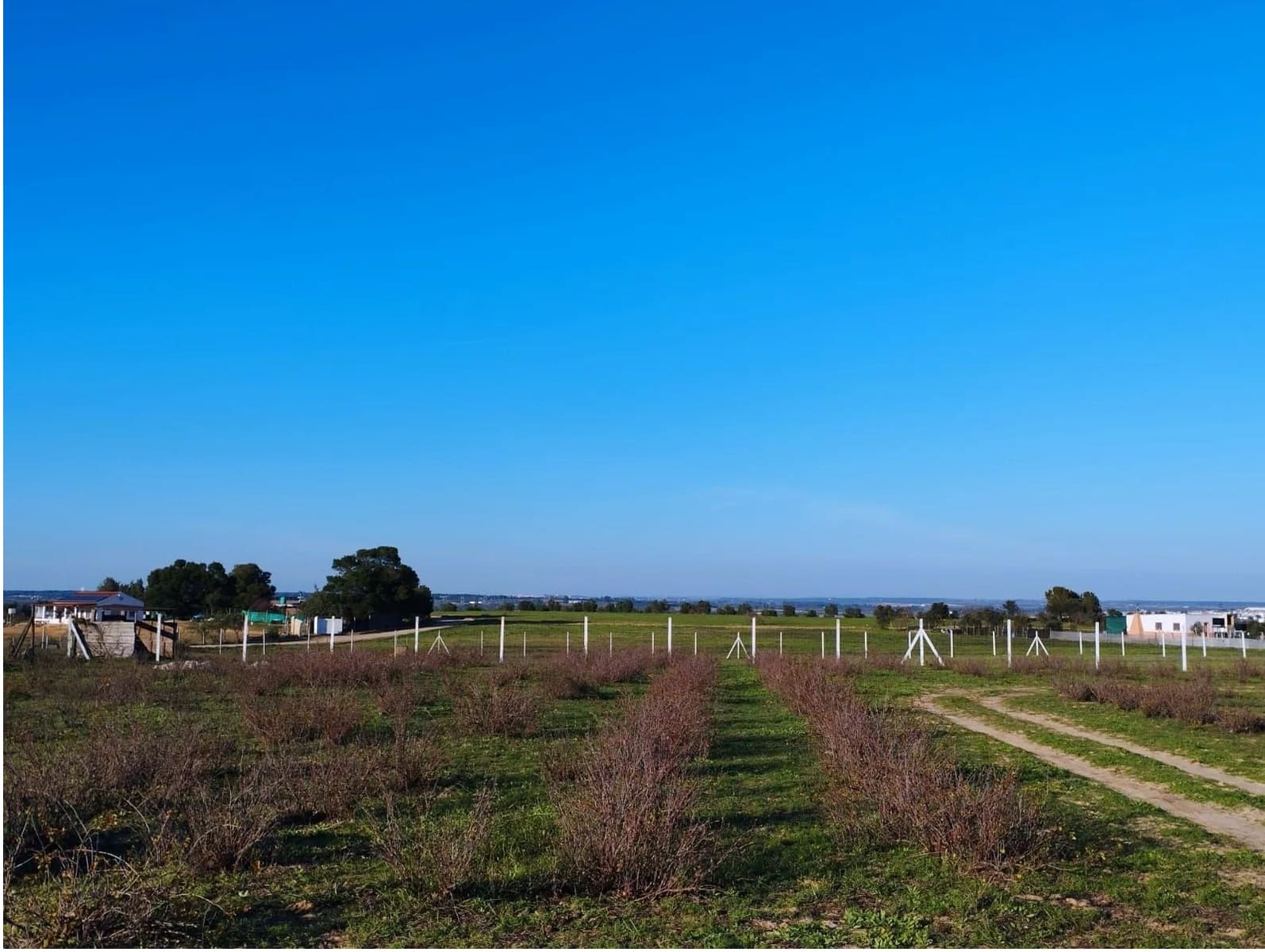 Finca/Landgut zu verkaufen in Almonte mit Garage - 51.000 € (Ref: 8603590)