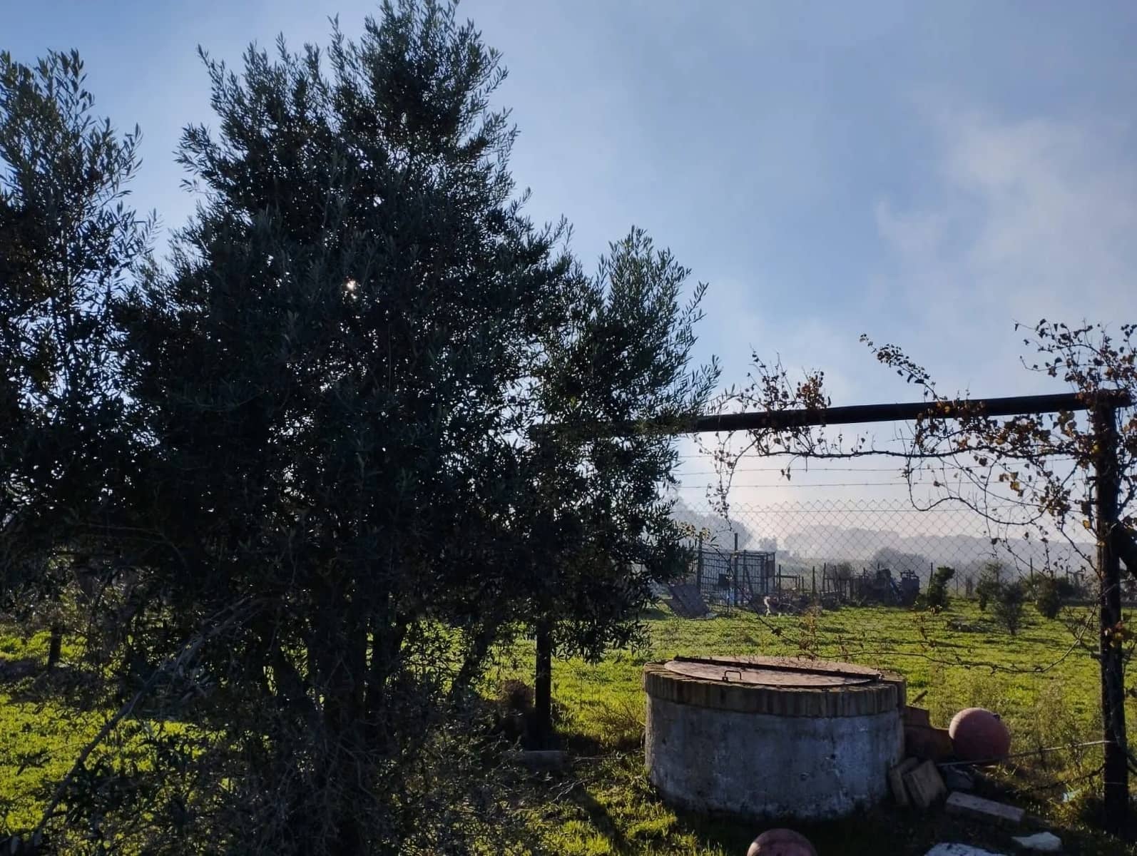 Finca/Landgut zu verkaufen in Almonte mit Garage - 51.000 € (Ref: 8603590)