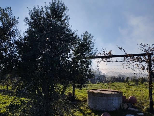 Finca/Landgut zu verkaufen in Almonte mit Garage - 51.000 € (Ref: 8603590)