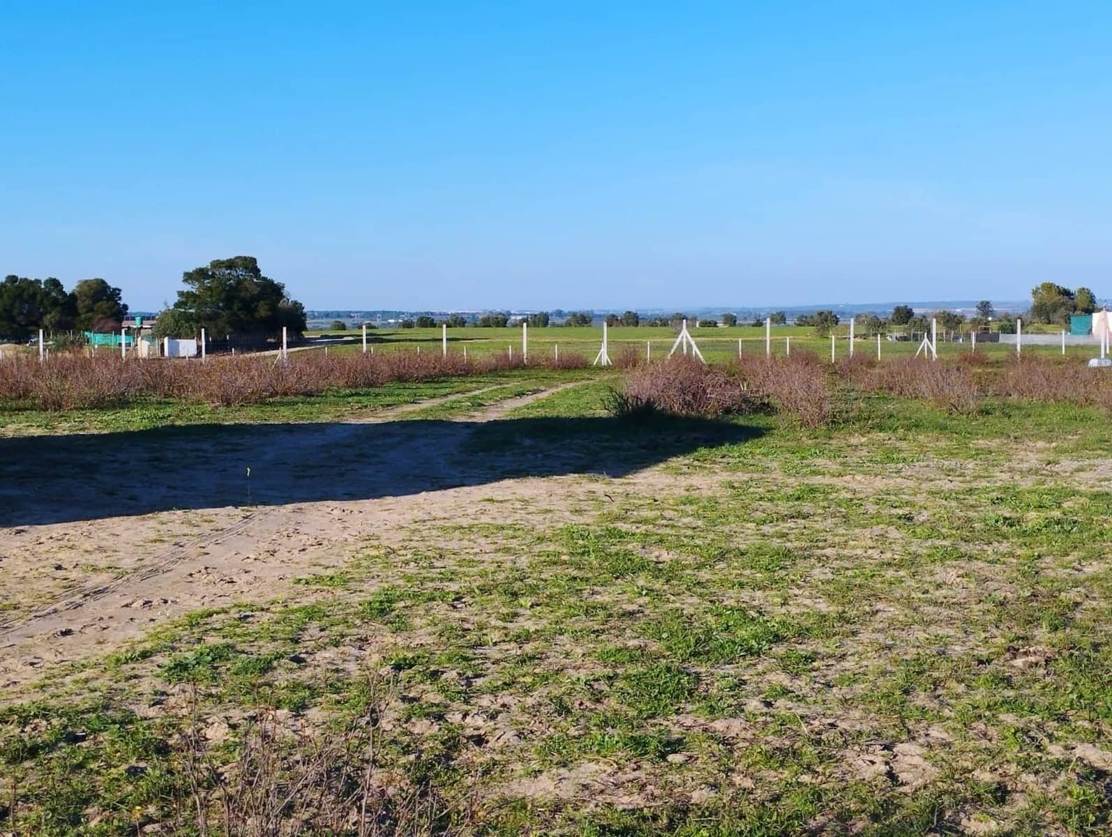 Finca/Landgut zu verkaufen in Almonte mit Garage - 51.000 € (Ref: 8603590)