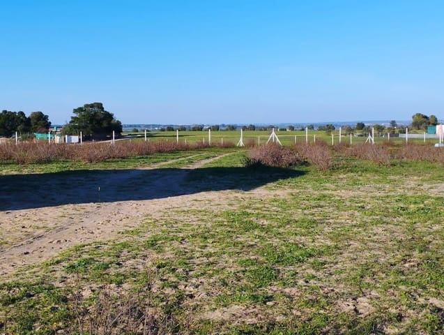 Finca/Landgut zu verkaufen in Almonte mit Garage - 51.000 € (Ref: 8603590)