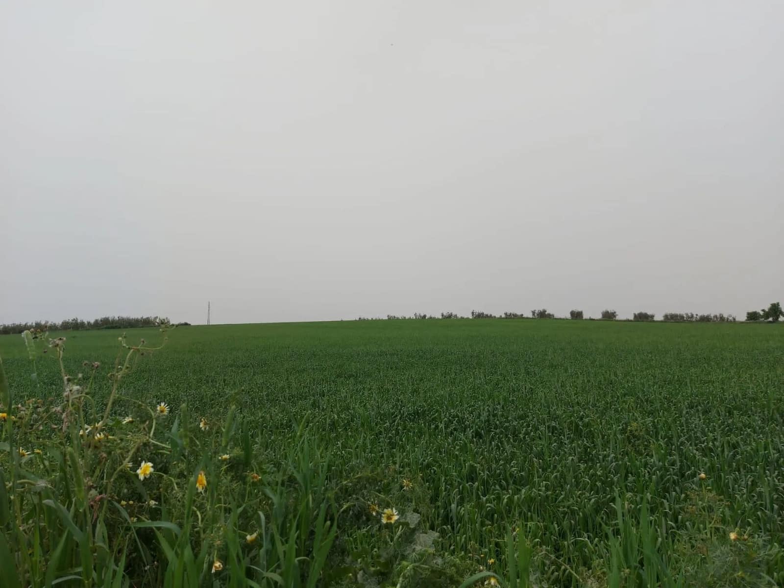 Tontti myytävänä paikassa Almonte - 320 000 € (Ref: 8604598)