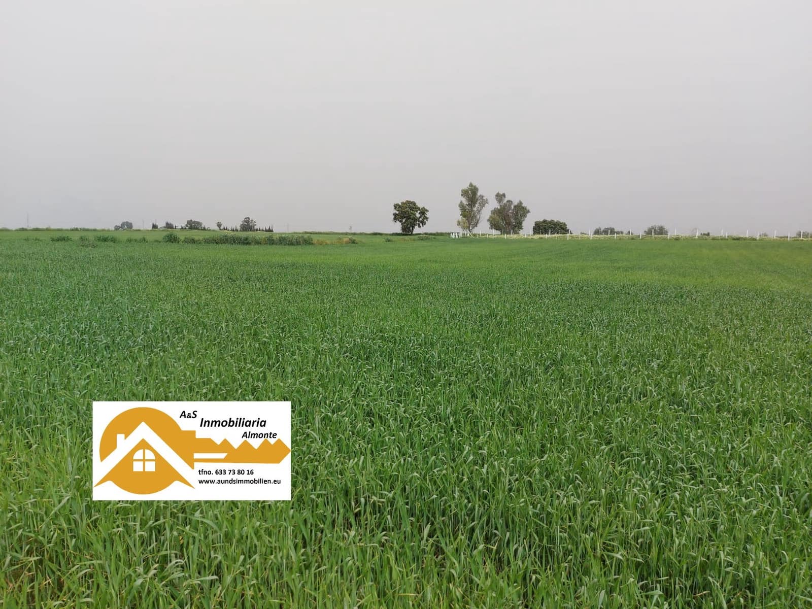 Bouwgrond te koop in Almonte - € 48.000 (Ref: 8604599)