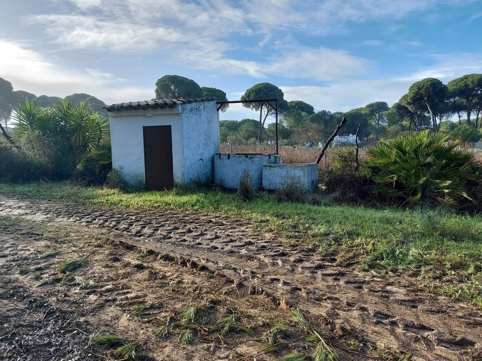 2 soverom Finca/Herregård til salgs i Almonte med garasje - € 250 000 (Ref: 8604668)