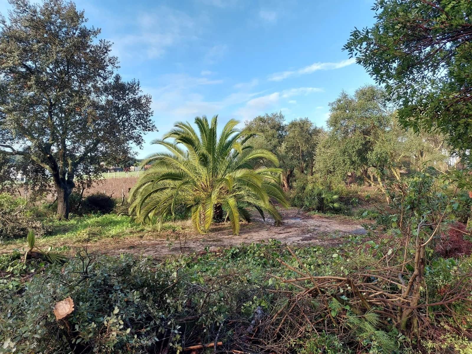 2 soverom Finca/Herregård til salgs i Almonte med garasje - € 250 000 (Ref: 8604668)