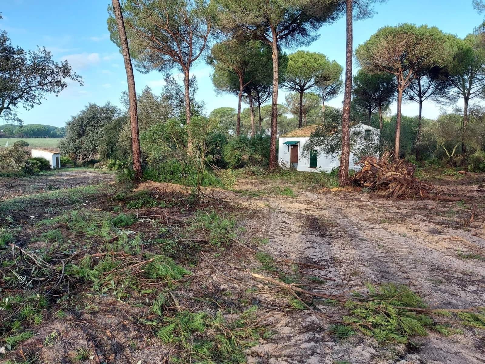 2 soverom Finca/Herregård til salgs i Almonte med garasje - € 250 000 (Ref: 8604668)