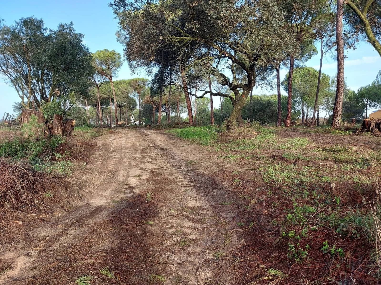 2 soverom Finca/Herregård til salgs i Almonte med garasje - € 250 000 (Ref: 8604668)