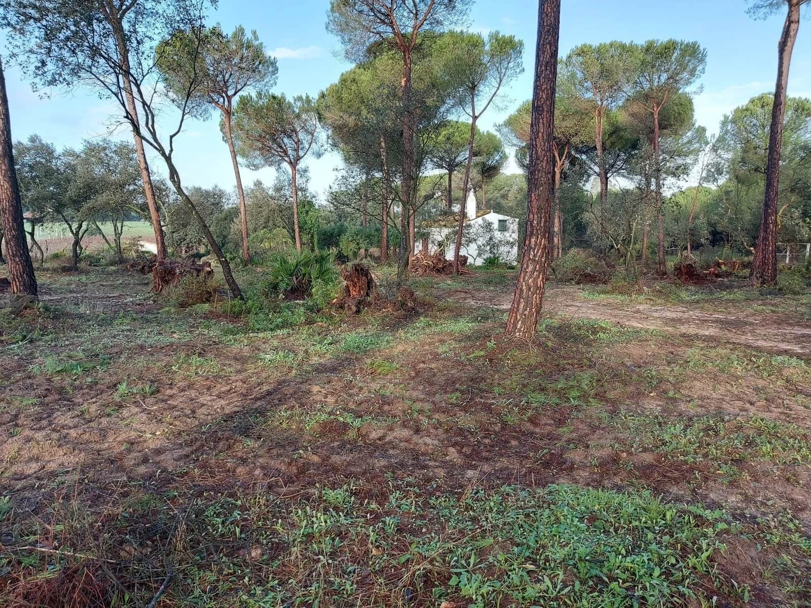 2 soverom Finca/Herregård til salgs i Almonte med garasje - € 250 000 (Ref: 8604668)