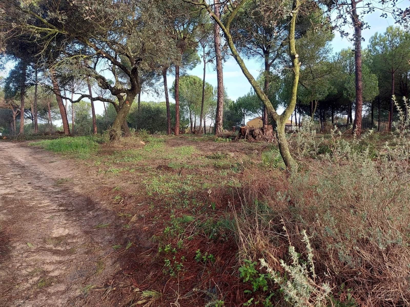 2 soverom Finca/Herregård til salgs i Almonte med garasje - € 250 000 (Ref: 8604668)