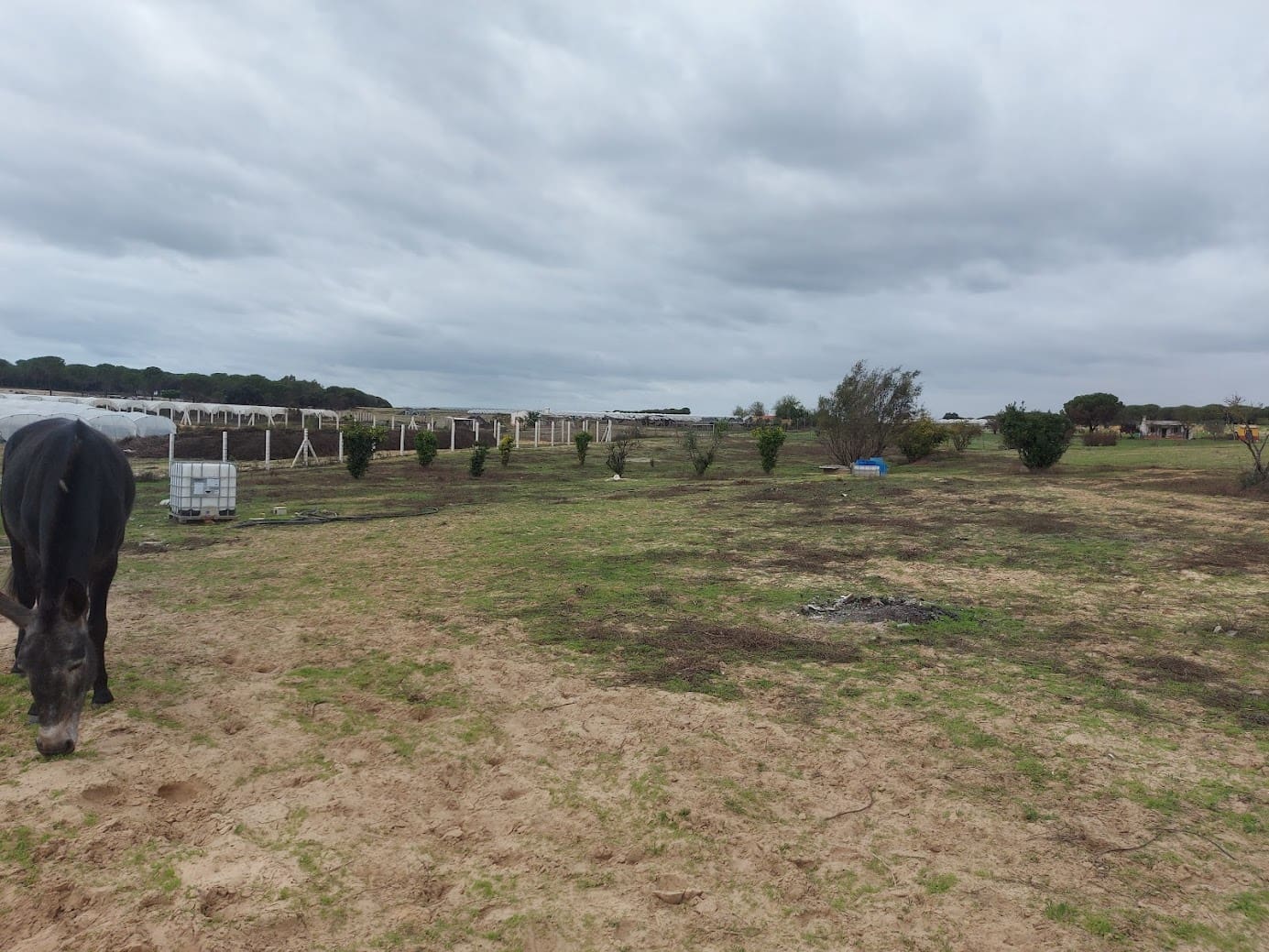 Finca/Herregård til salgs i Almonte med garasje - € 25 000 (Ref: 8604735)