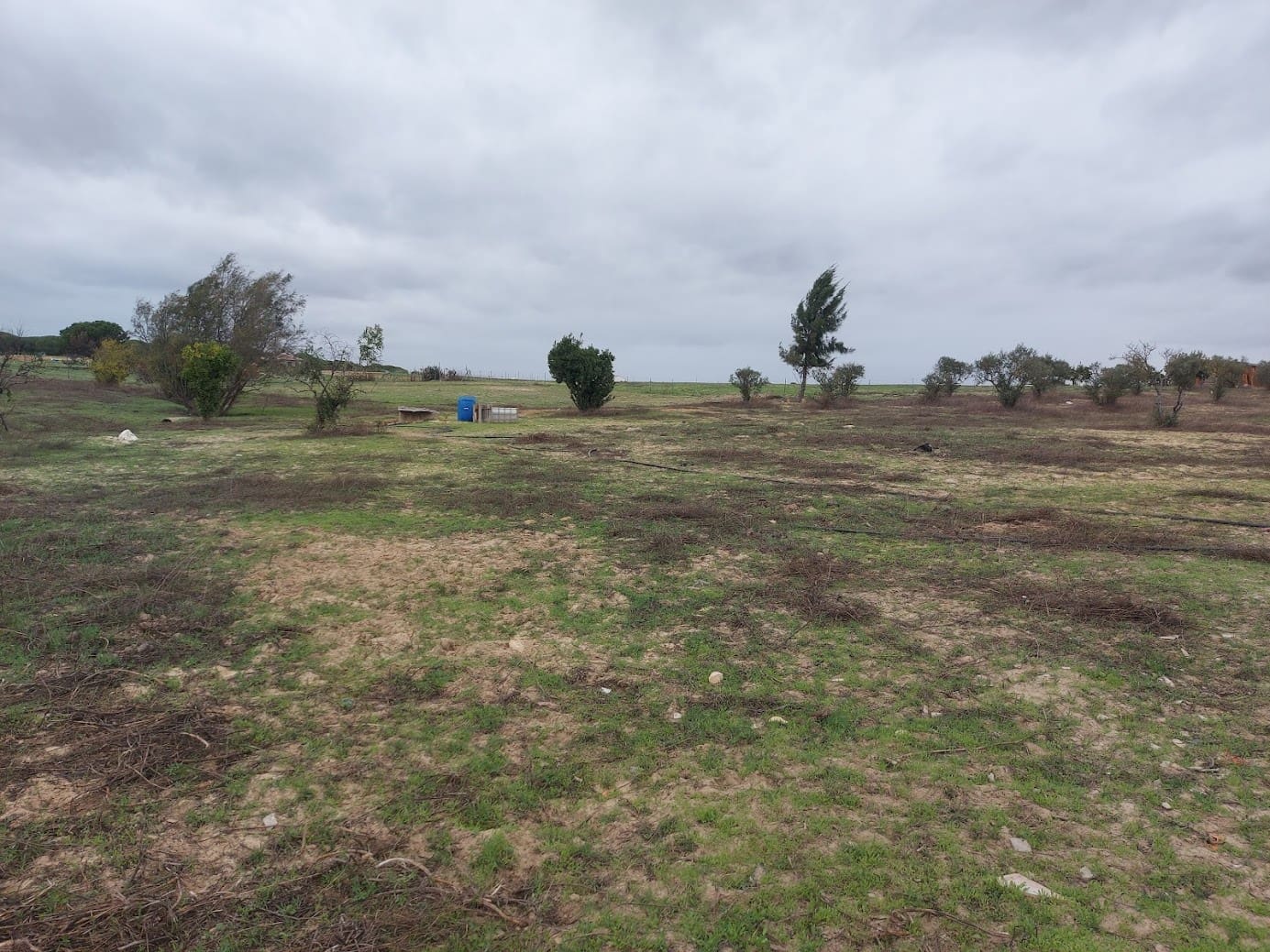 Finca/Herregård til salgs i Almonte med garasje - € 25 000 (Ref: 8604735)