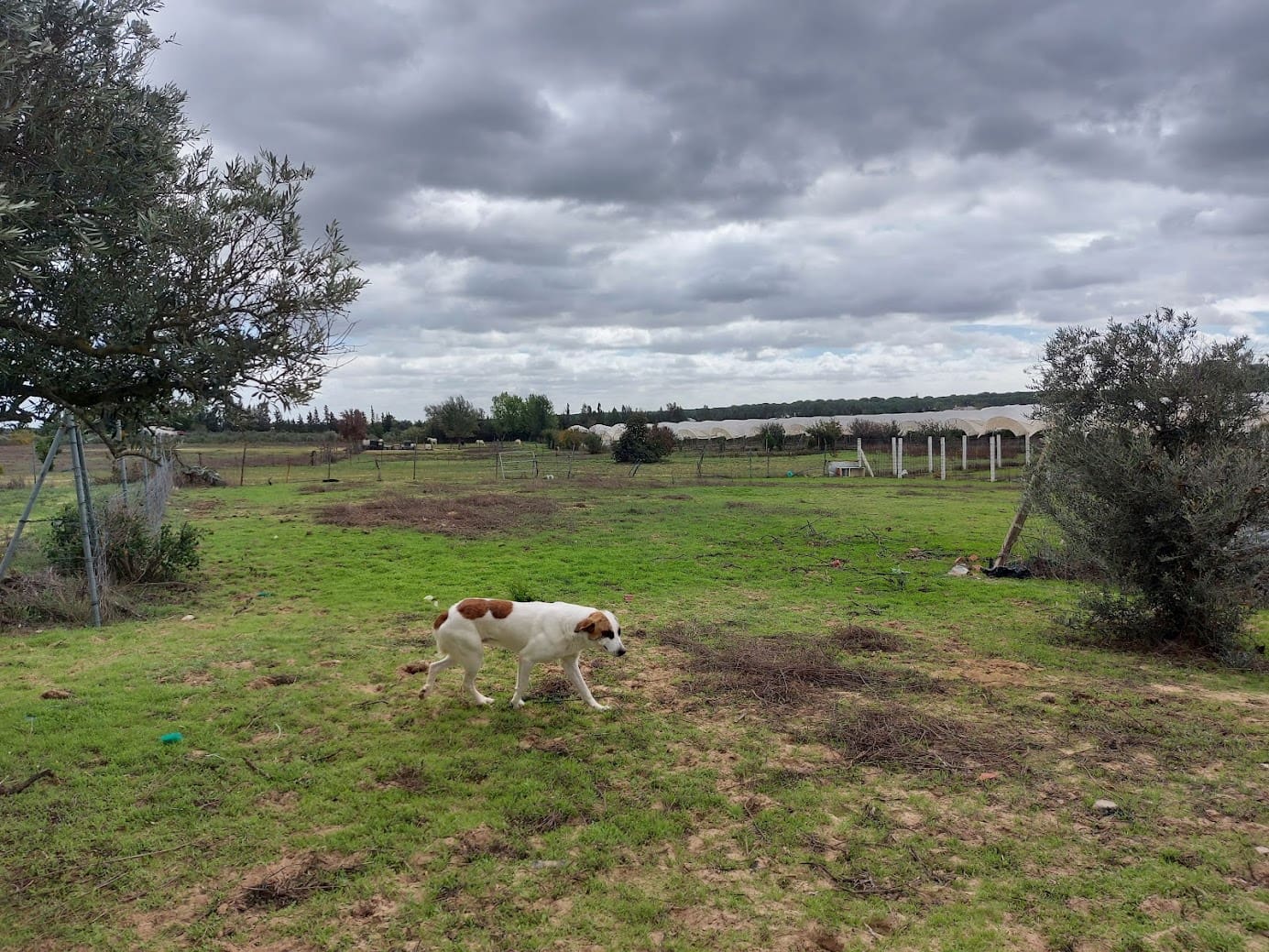 Finca/Herregård til salgs i Almonte med garasje - € 25 000 (Ref: 8604735)