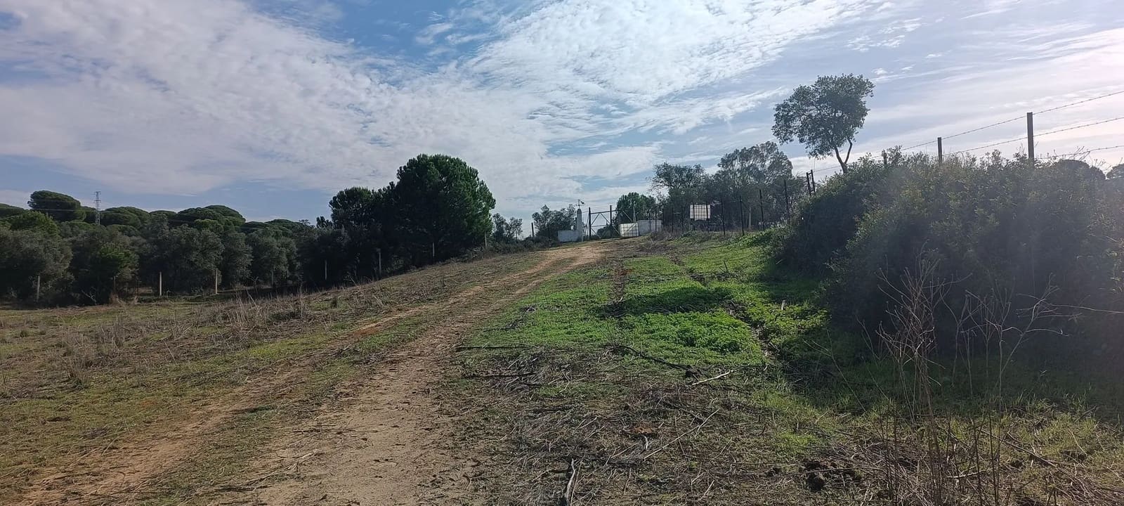 1 soveværelse Finca/Landehus til salg i Almonte med garage - € 125.000 (Ref: 8619848)