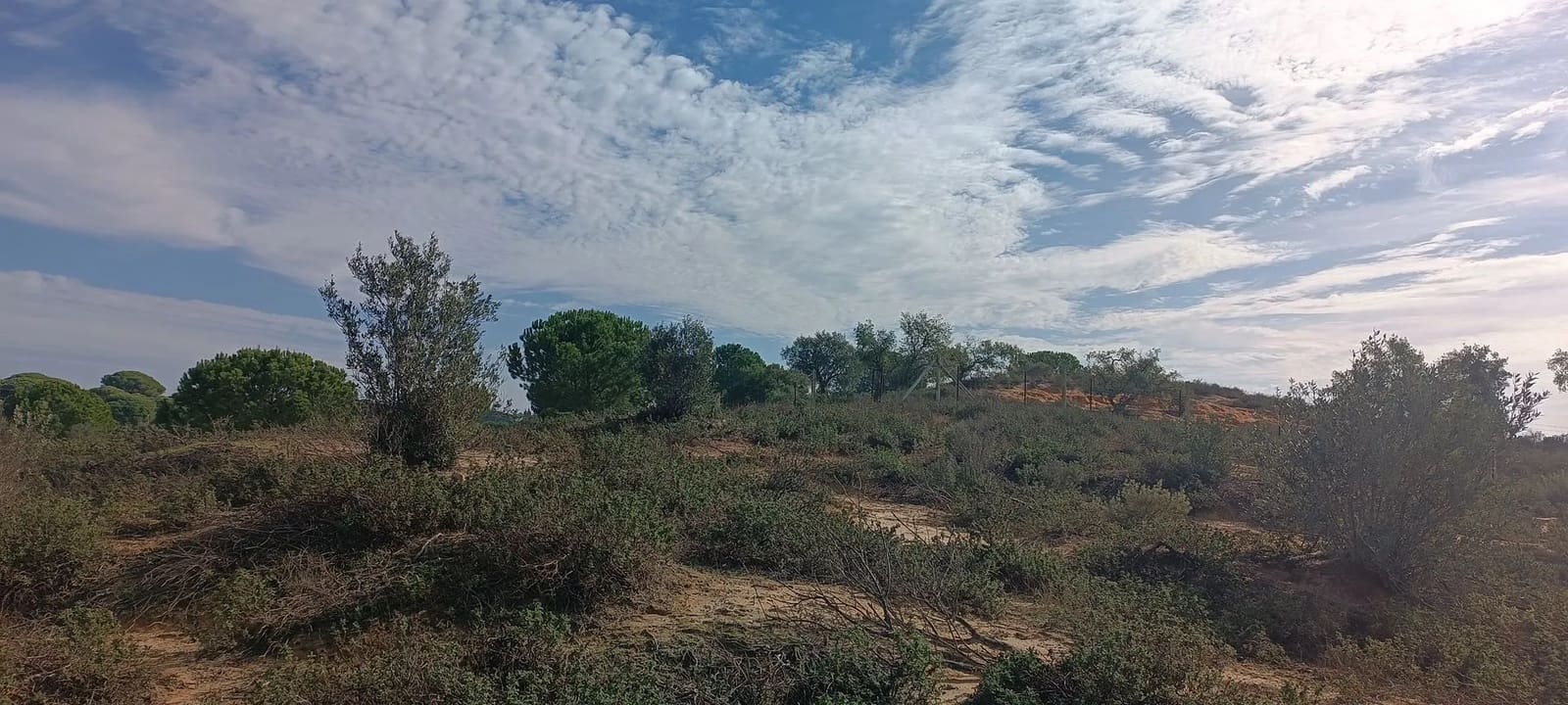 1 soveværelse Finca/Landehus til salg i Almonte med garage - € 125.000 (Ref: 8619848)