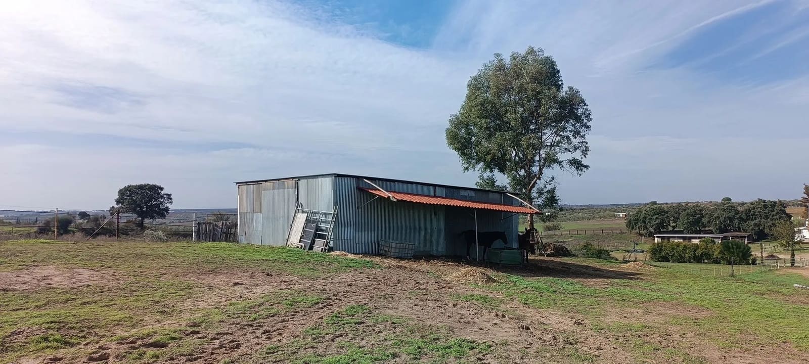 1 soveværelse Finca/Landehus til salg i Almonte med garage - € 125.000 (Ref: 8619848)