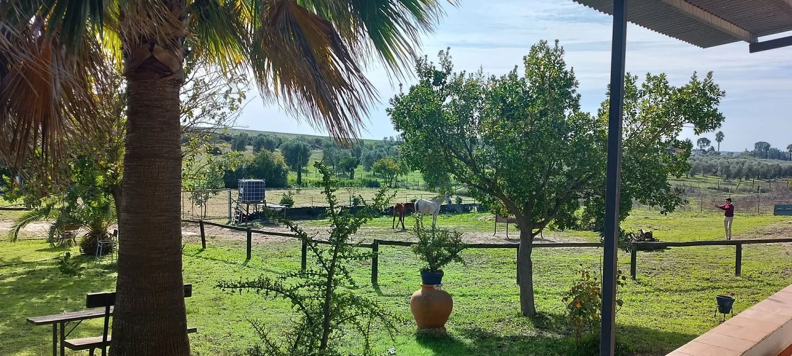 1 soveværelse Finca/Landehus til salg i Almonte med garage - € 125.000 (Ref: 8619848)