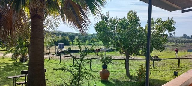 1 Zimmer Finca/Landgut zu verkaufen in Almonte mit Garage - 125.000 € (Ref: 8619848)