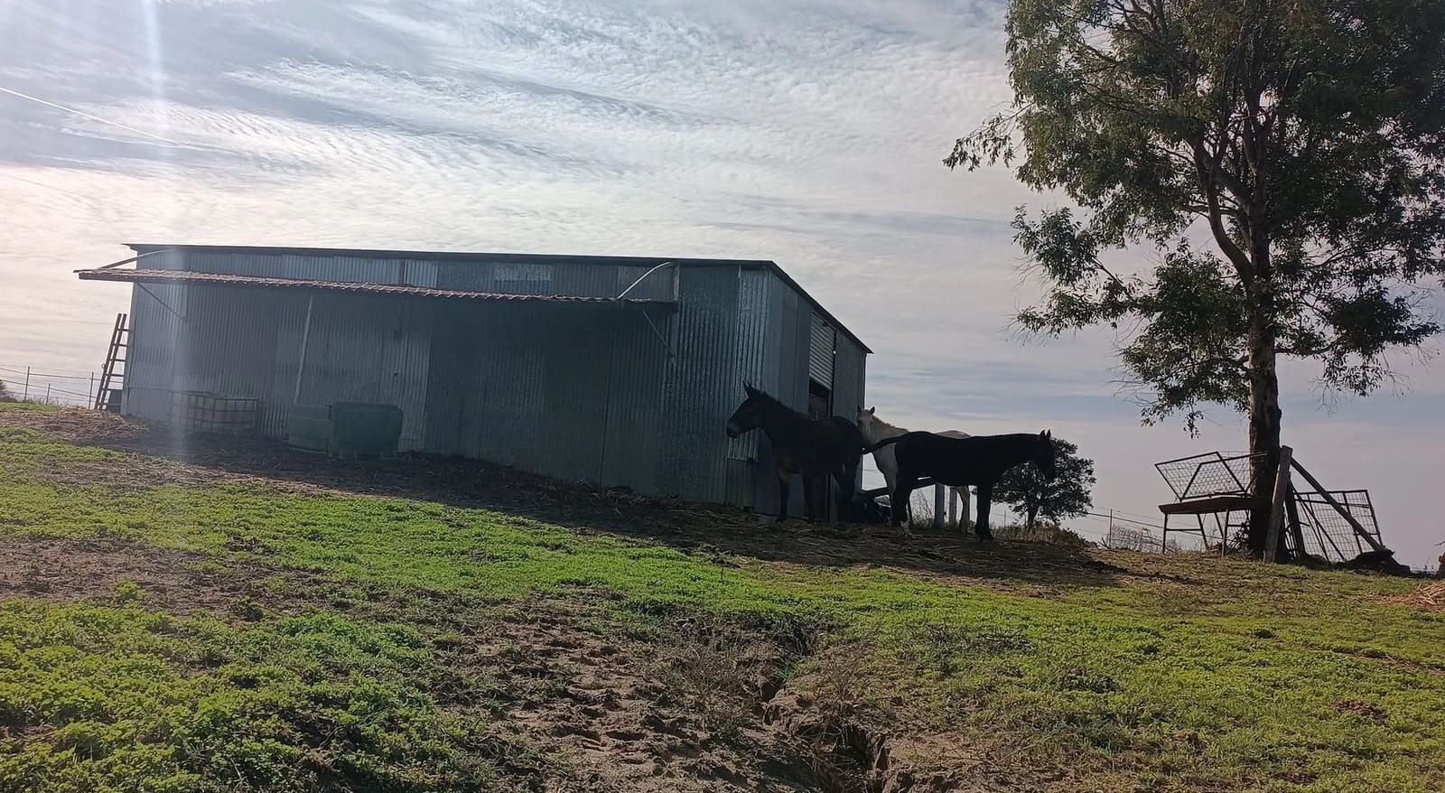 1 soveværelse Finca/Landehus til salg i Almonte med garage - € 125.000 (Ref: 8619848)