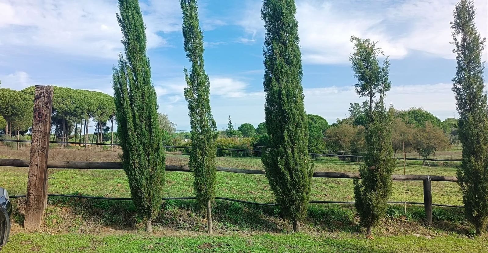 1 soveværelse Finca/Landehus til salg i Almonte med garage - € 125.000 (Ref: 8619848)