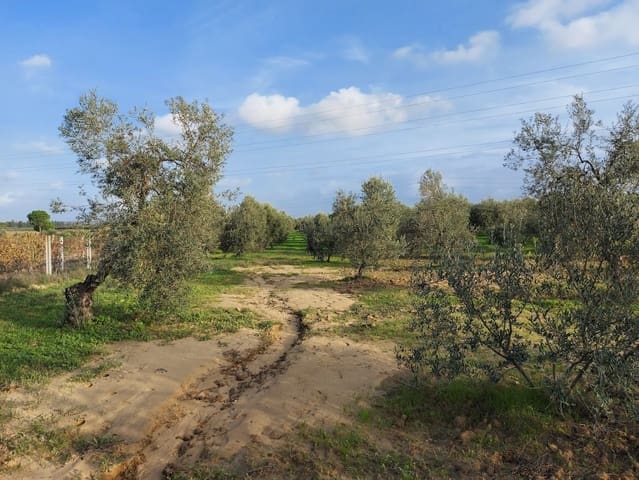 Building Plot for sale in Almonte - € 19,000 (Ref: 8629884)