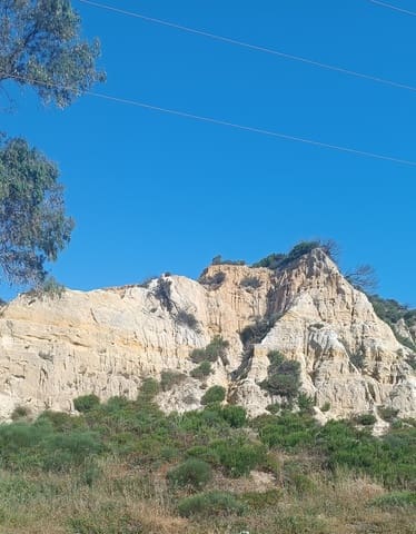 Building Plot for sale in Almonte - € 19,000 (Ref: 8629884)