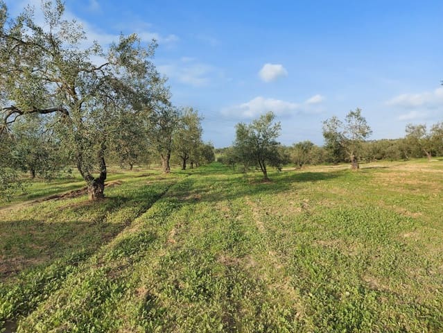 Building Plot for sale in Almonte - € 19,000 (Ref: 8629884)