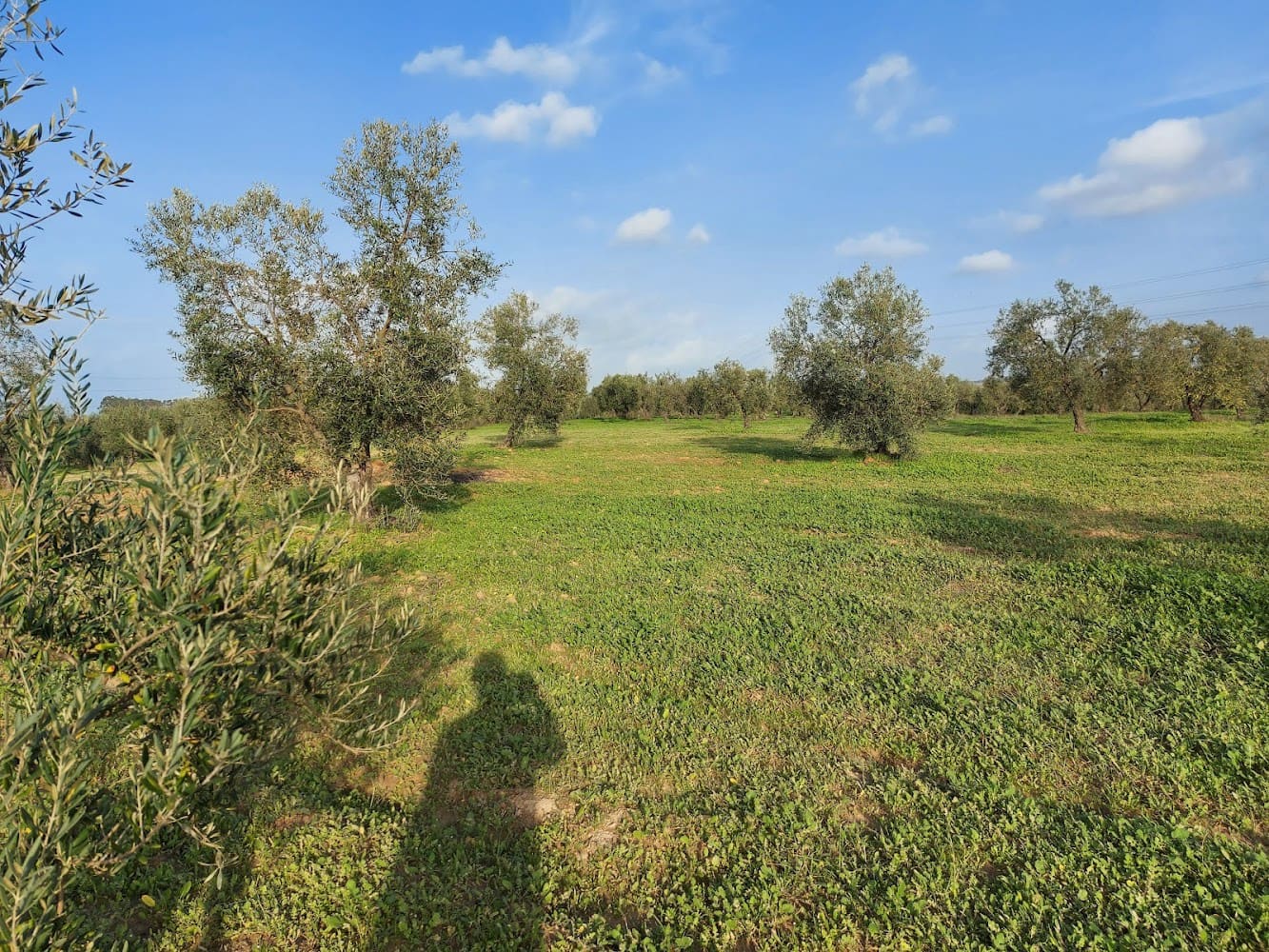 Bouwgrond te koop in Almonte - € 19.000 (Ref: 8629884)