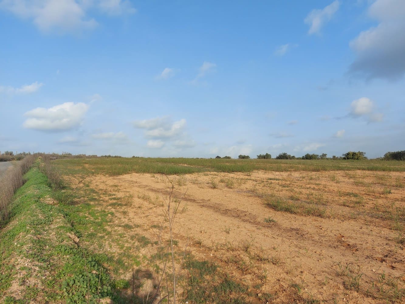 Building Plot for sale in Almonte - € 50,000 (Ref: 8629987)