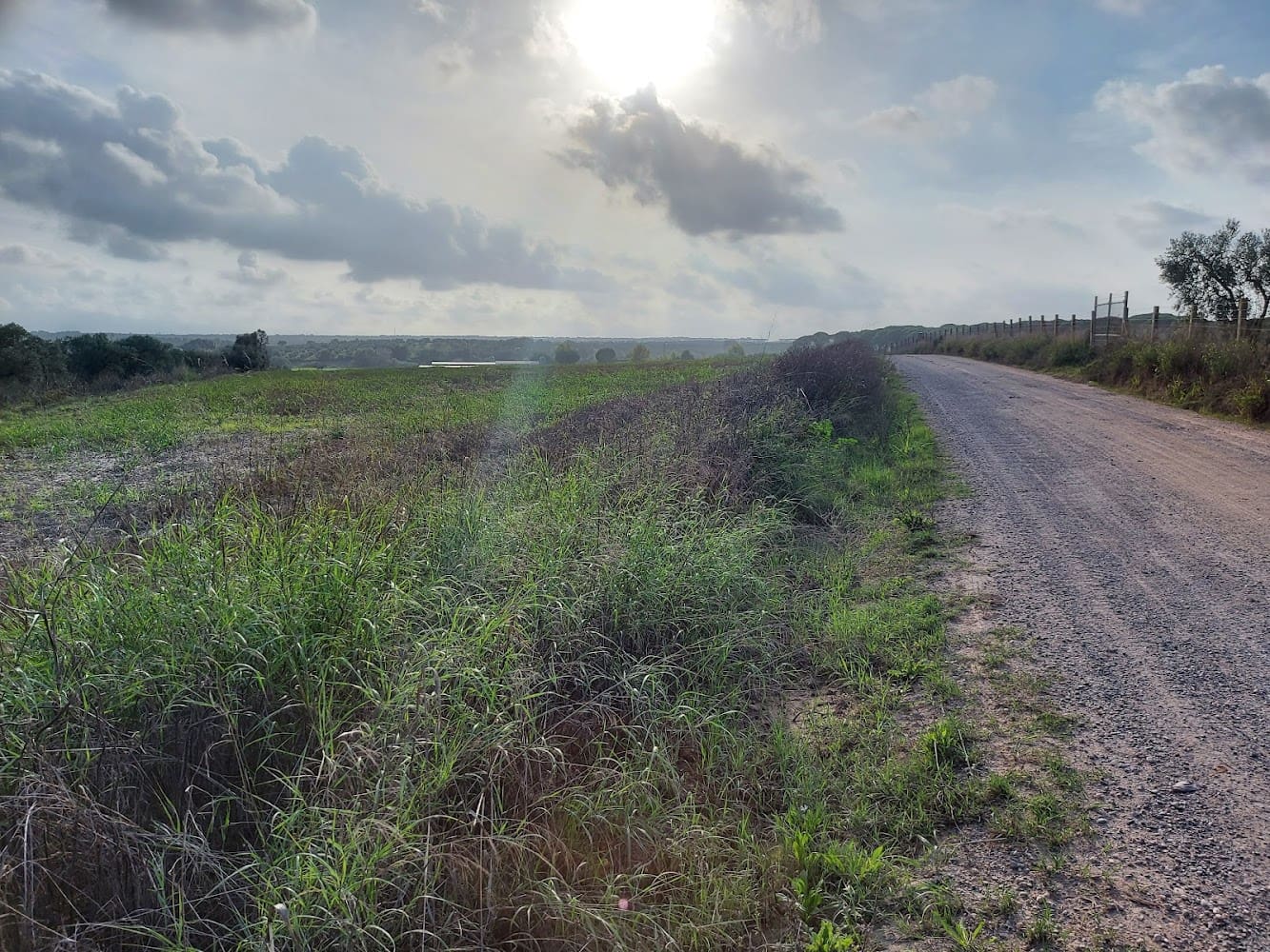 Building Plot for sale in Almonte - € 50,000 (Ref: 8629987)