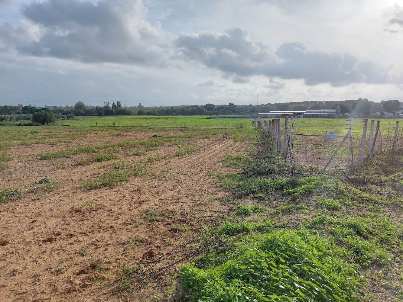 Building Plot for sale in Almonte - € 50,000 (Ref: 8629987)