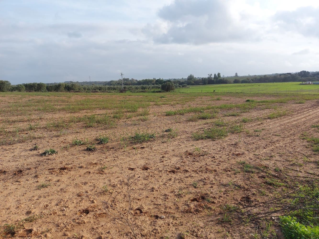 Building Plot for sale in Almonte - € 50,000 (Ref: 8629987)
