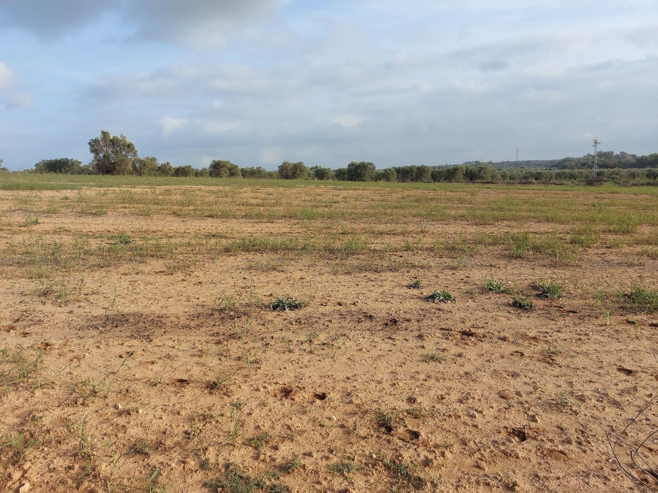 Building Plot for sale in Almonte - € 50,000 (Ref: 8629987)