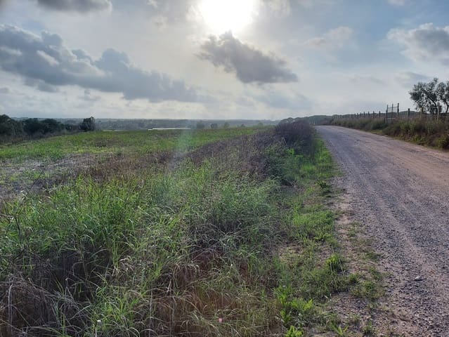 Tontti myytävänä paikassa Almonte - 50 000 € (Ref: 8629987)