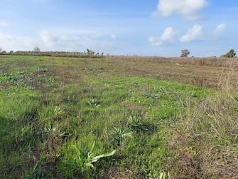 Tontti myytävänä paikassa Almonte - 20 000 € (Ref: 8633066)