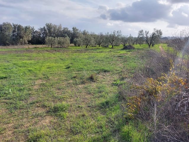 Tontti myytävänä paikassa Almonte - 20 000 € (Ref: 8633066)