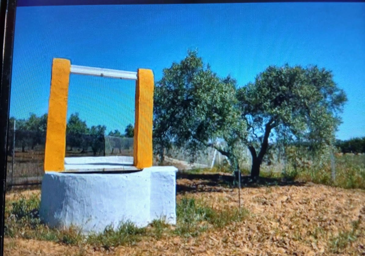 1 soveværelse Finca/Landehus til salg i Almonte med garage - € 98.000 (Ref: 8750163)