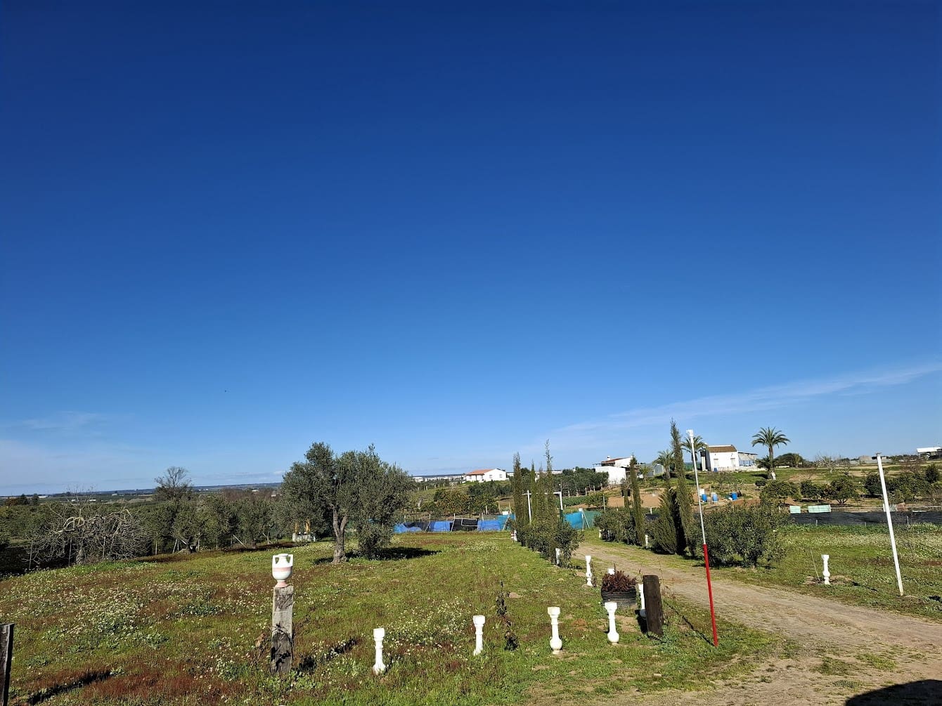 1 soveværelse Finca/Landehus til salg i Almonte med garage - € 98.000 (Ref: 8750163)