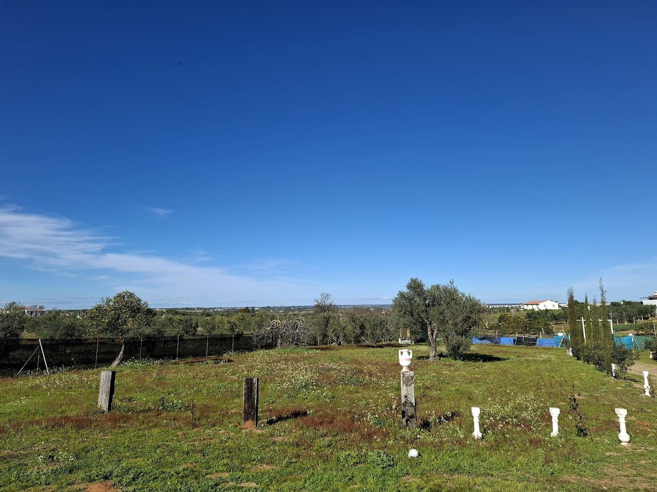 1 soveværelse Finca/Landehus til salg i Almonte med garage - € 98.000 (Ref: 8750163)