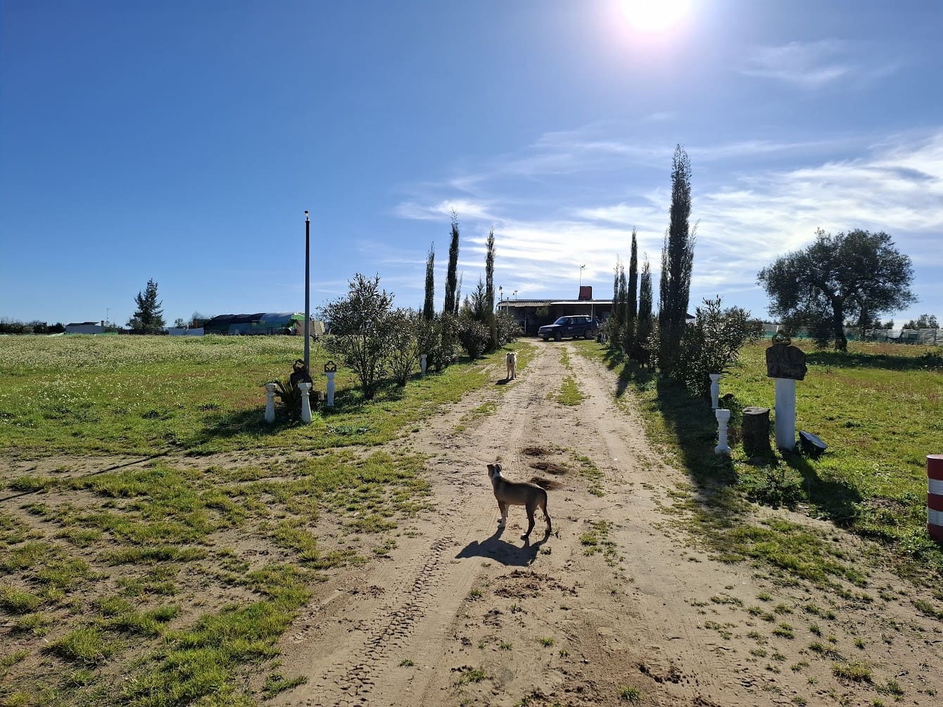 1 soveværelse Finca/Landehus til salg i Almonte med garage - € 98.000 (Ref: 8750163)