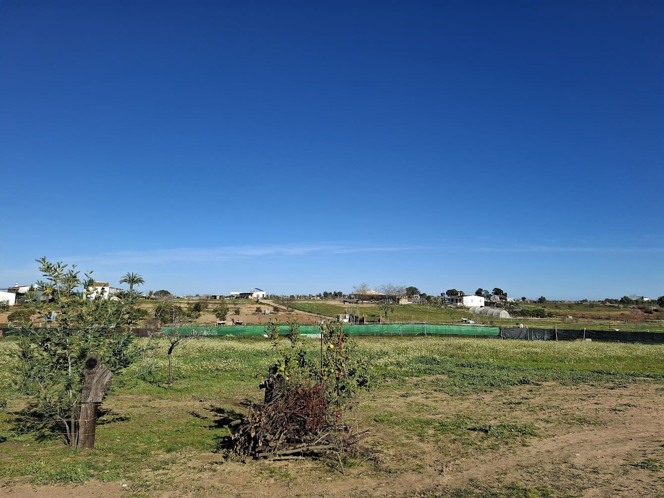 1 soveværelse Finca/Landehus til salg i Almonte med garage - € 98.000 (Ref: 8750163)