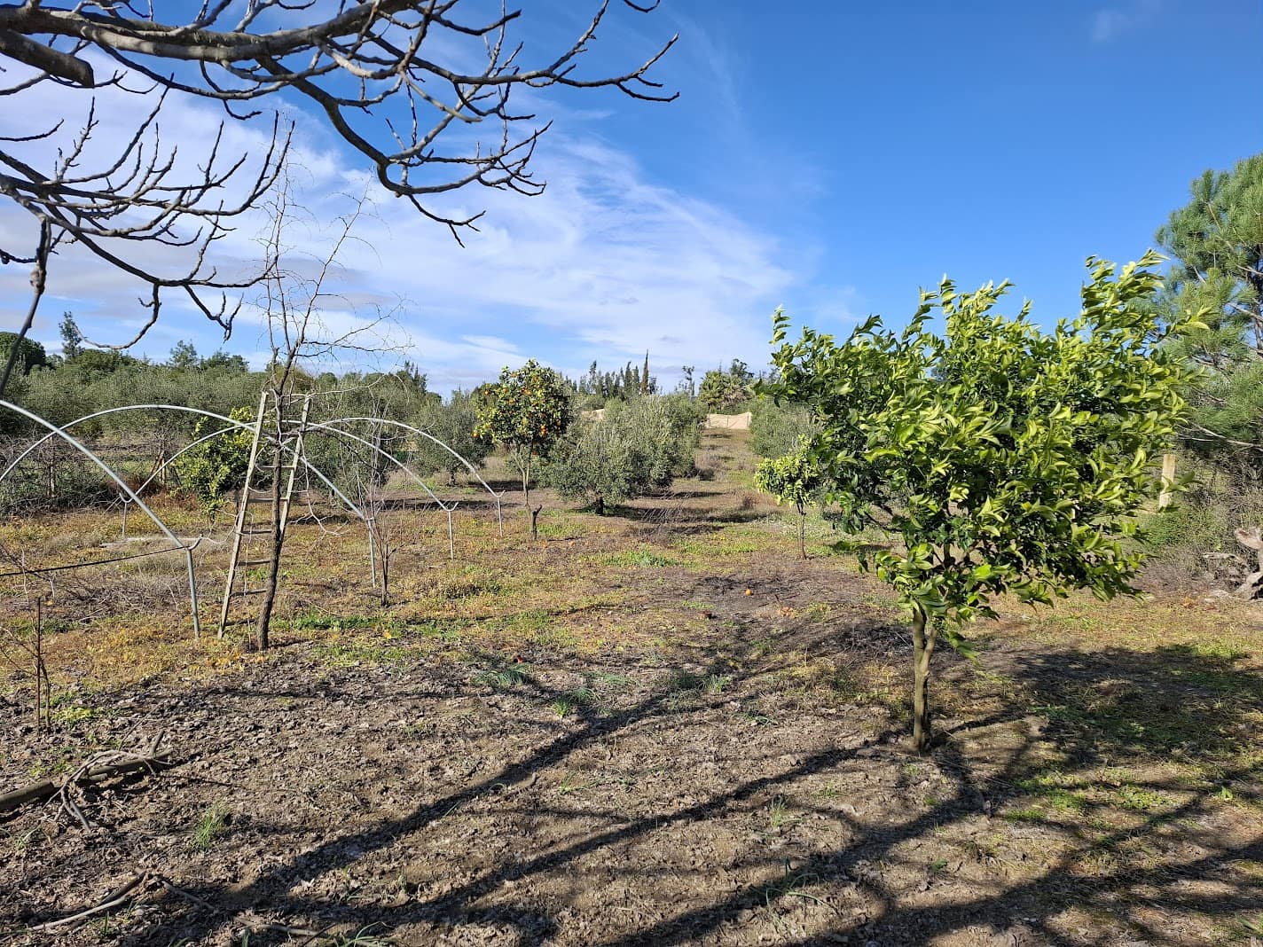 3 soveværelse Finca/Landehus til salg i Almonte med swimmingpool garage - € 156.000 (Ref: 8778104)