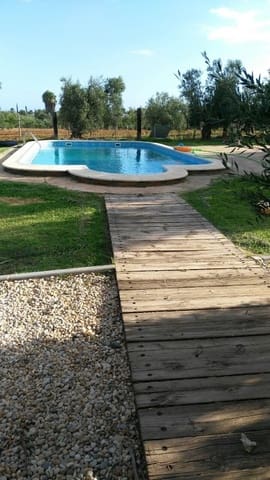 3 bedroom Finca/Country House for sale in Almonte with pool garage - € 455,000 (Ref: 8793302)