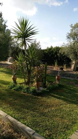 3 bedroom Finca/Country House for sale in Almonte with pool garage - € 455,000 (Ref: 8793302)