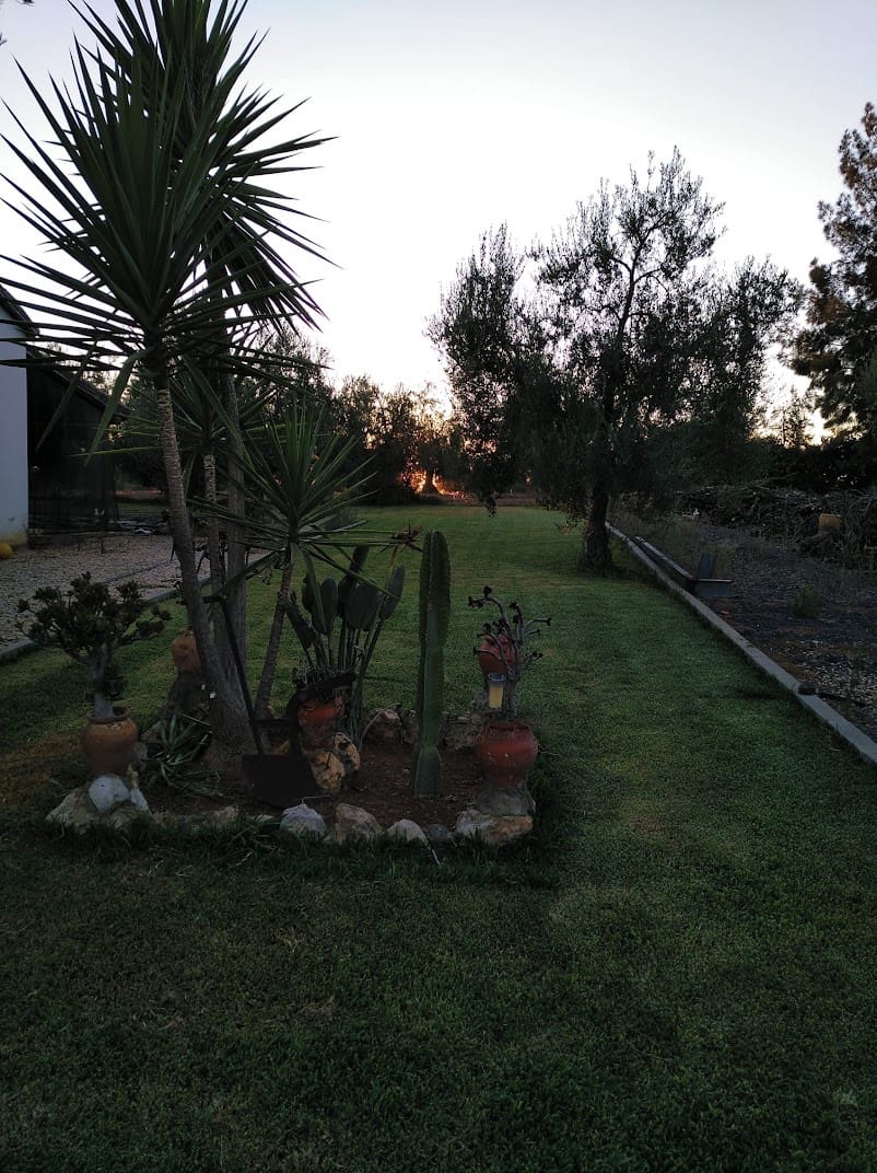 3 soverom Finca/Herregård til salgs i Almonte med svømmebasseng garasje - € 455 000 (Ref: 8793302)