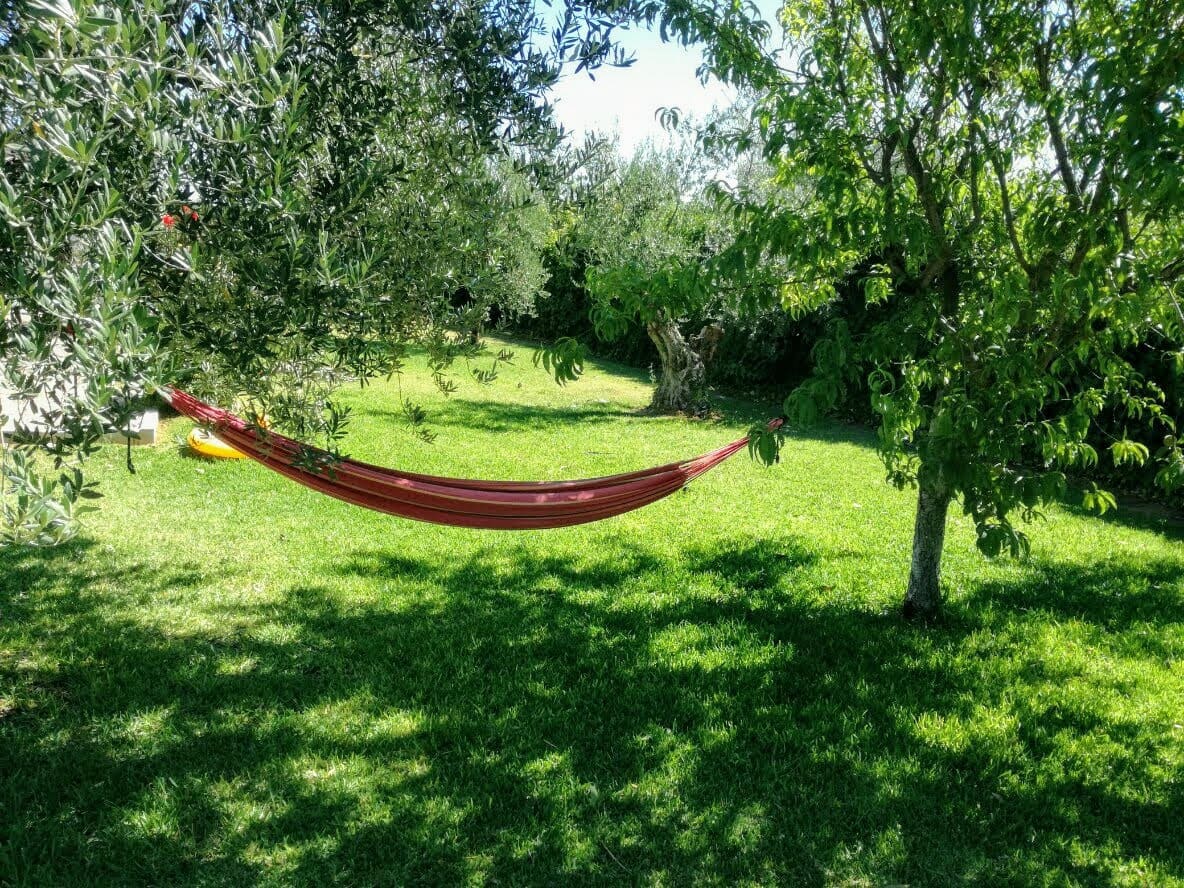 3 soverom Finca/Herregård til salgs i Almonte med svømmebasseng garasje - € 455 000 (Ref: 8793302)