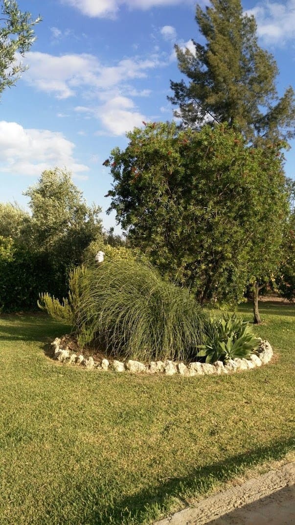 3 soverom Finca/Herregård til salgs i Almonte med svømmebasseng garasje - € 455 000 (Ref: 8793302)